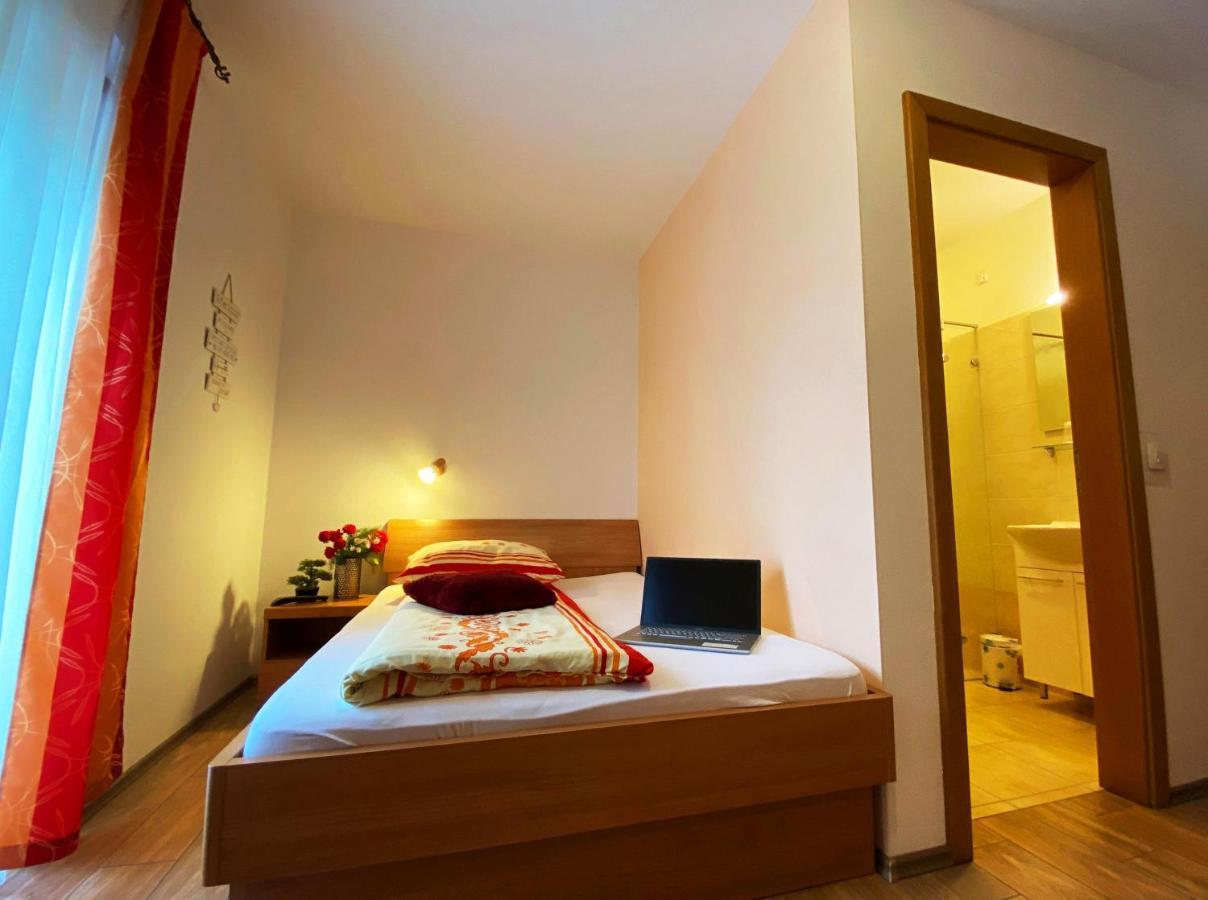 Guesthouse Mesec Zaplana Vrhnika Exterior photo