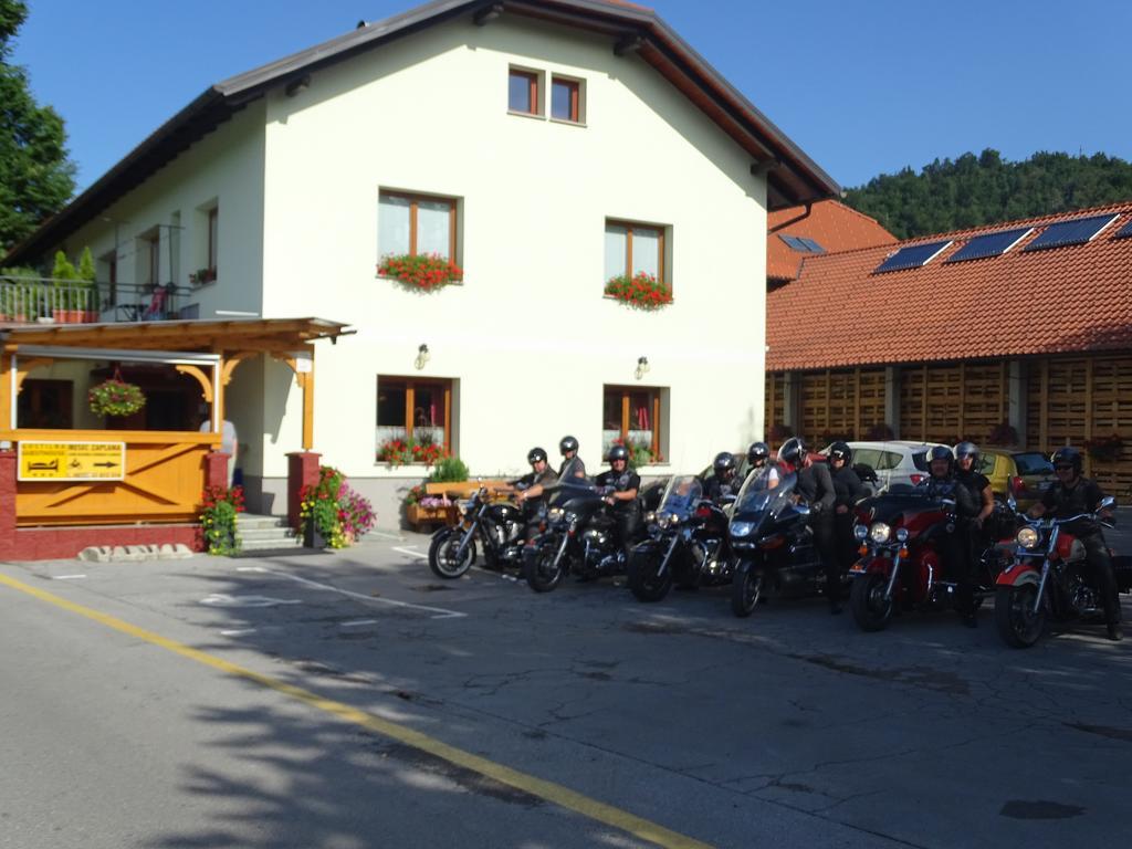 Guesthouse Mesec Zaplana Vrhnika Exterior photo