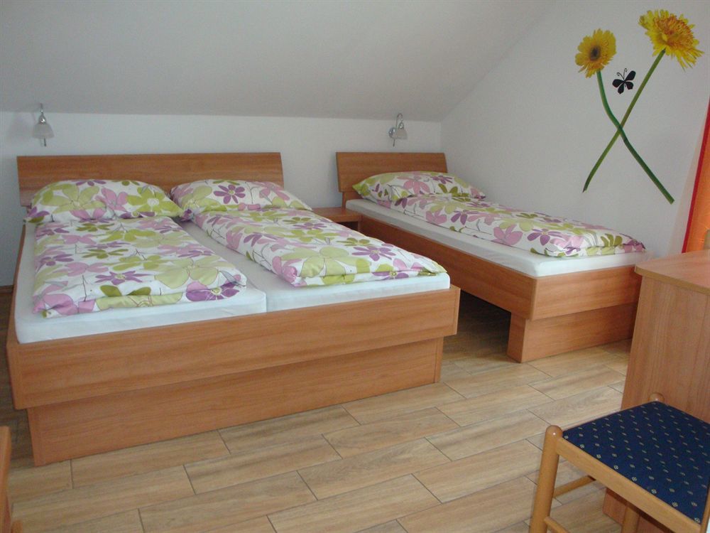 Guesthouse Mesec Zaplana Vrhnika Exterior photo